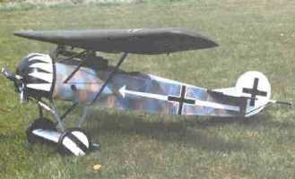 D8 image