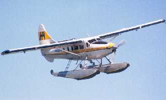 DH3T image