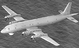 IL38 image