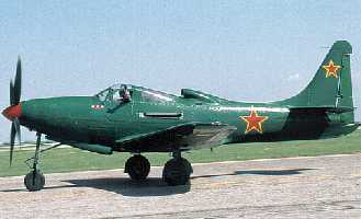 P63 image