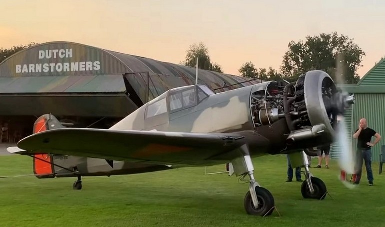 FOKKER D-21 Replica D21 aircraft photograph