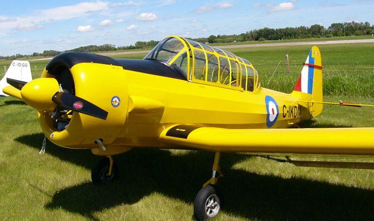 BLUE YONDER E-Z Harvard EZHV aircraft photograph
