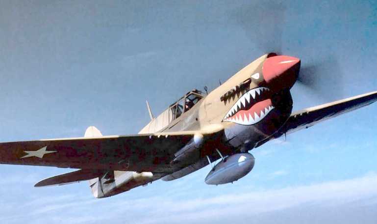 THUNDER WINGS Curtiss P-40 TP40 aircraft photograph